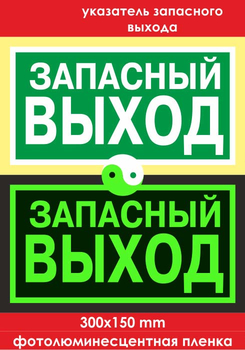 E23 указатель запасного выхода (ГОСТ 34428-2018, фотолюминесцентная пленка, 300х150 мм) - Знаки безопасности - Эвакуационные знаки - ohrana.inoy.org